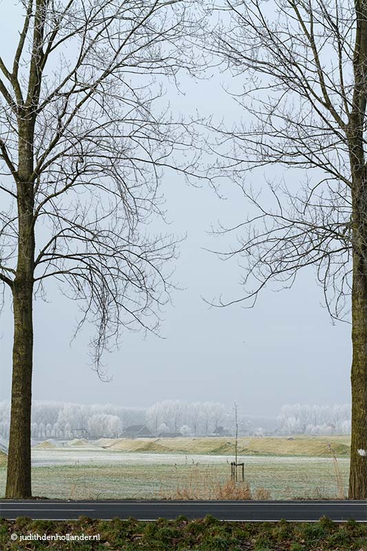 Winterlandschap | Nederland | Hoofddorp - fotografie Judith den Hollander.